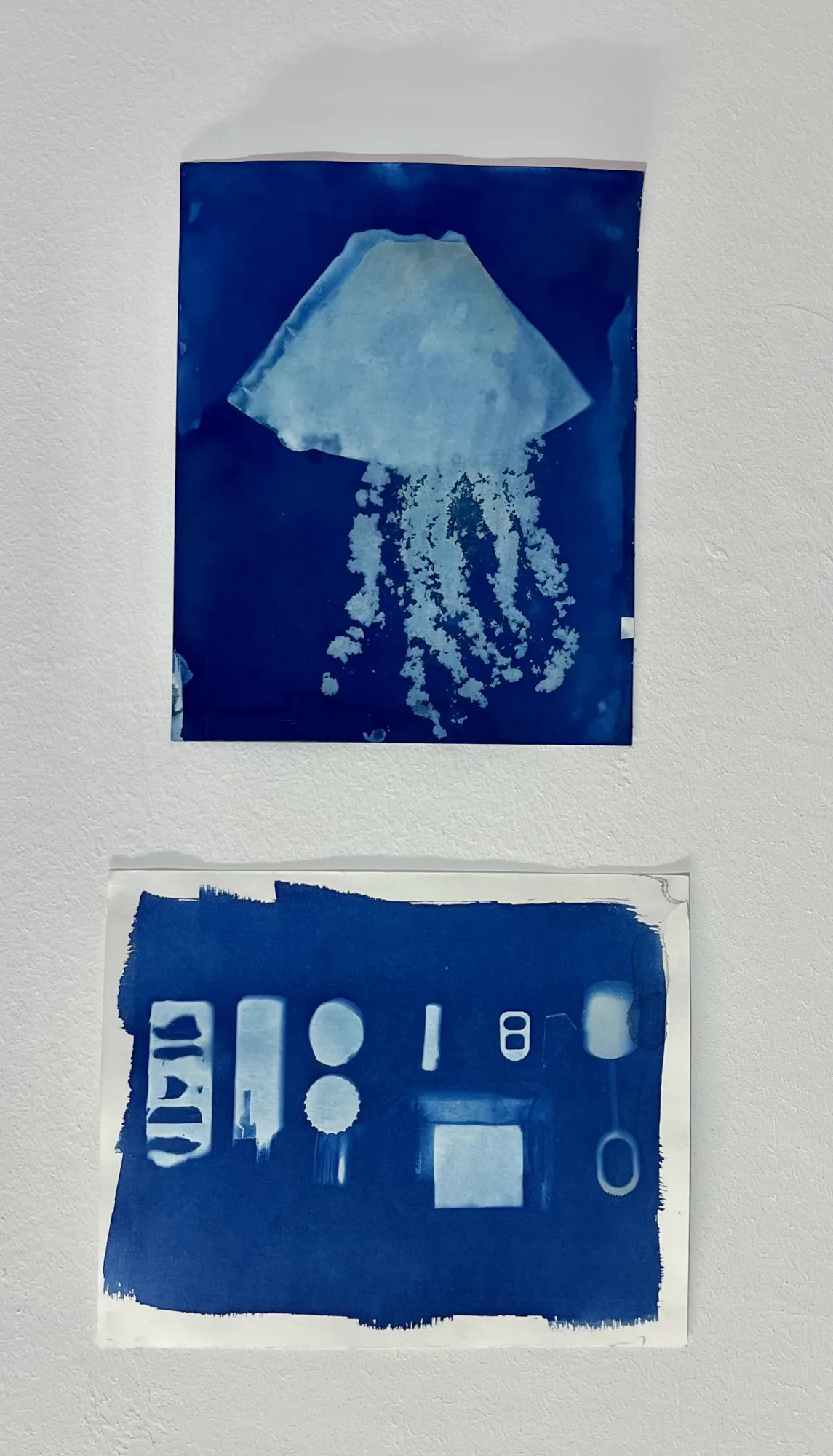 Es sind 2 Kunstwerke zu sehen. Sie sind beide durch die Cyanotypie-Technik entstanden. Auf dem oberen Bild ist ein Objekt zu sehen, was einer Qualle ähnelt. Es wurde aus einem benutzen Kaffeefilter und altem Kaffee gebaut. Auf dem unteren Bild sind die Umrisse von unterschiedlichen Gegenständen abgebildet: Einer kleinen Schnapsfalsche, einem Bierdeckel, einer leeren Tablettenverpackung, eine Aufreißlasche einer Dose, ein Seifenblasen-Stab und einem Zigarettenfilter. Sie sind geordnet nebeneinander aufgereiht.