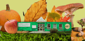 Herbstferien Mädchentreff