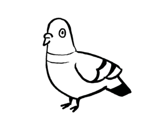 Fokusgruppen-Treffen