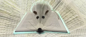 Kreatives aus Büchern