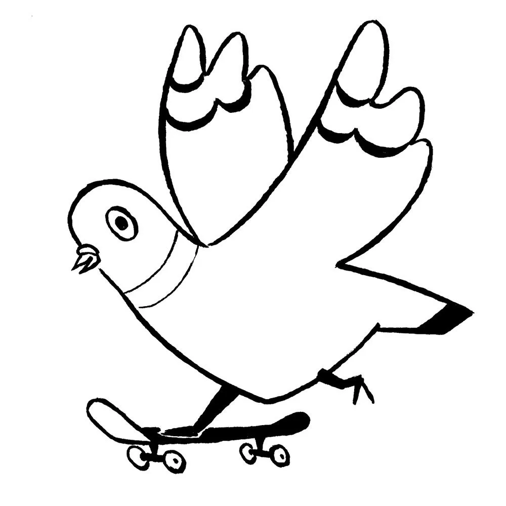 Taube_Skate