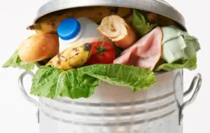 Lebensmittelverschwendung (für Multiplikator:innen)