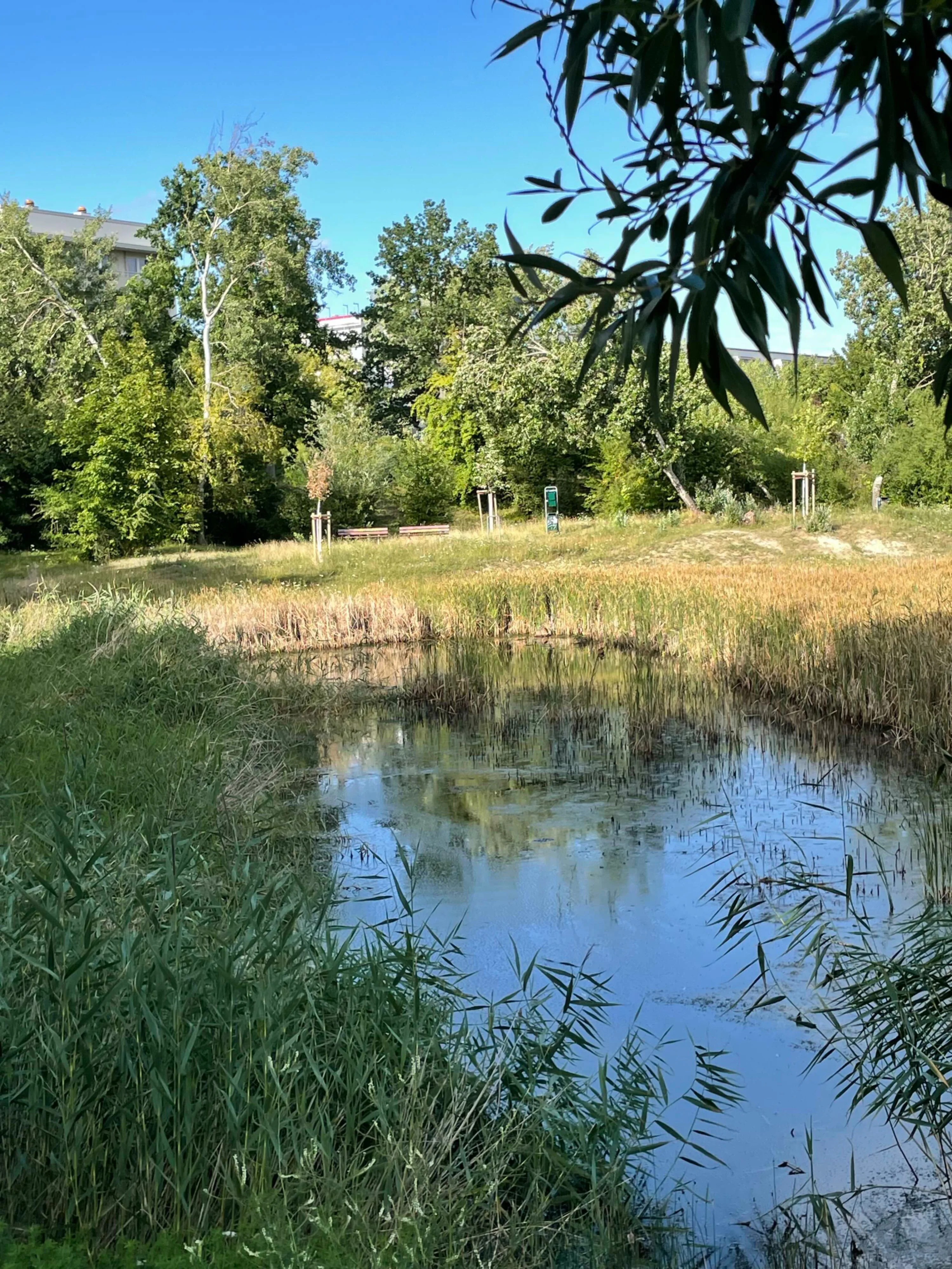 Park mit Teich und Spielplatz im Westen von Neustadt.