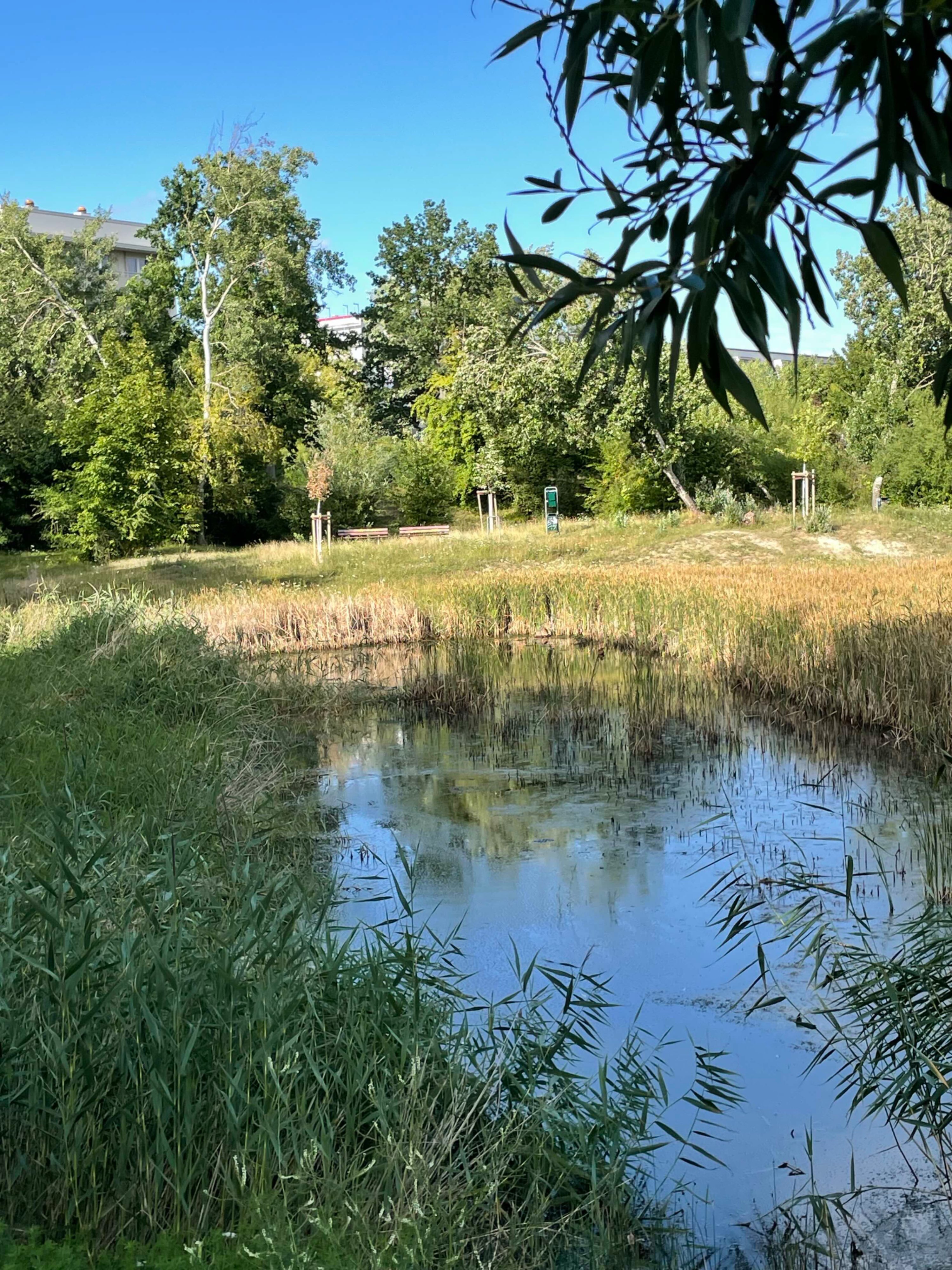 Kleiner Teich