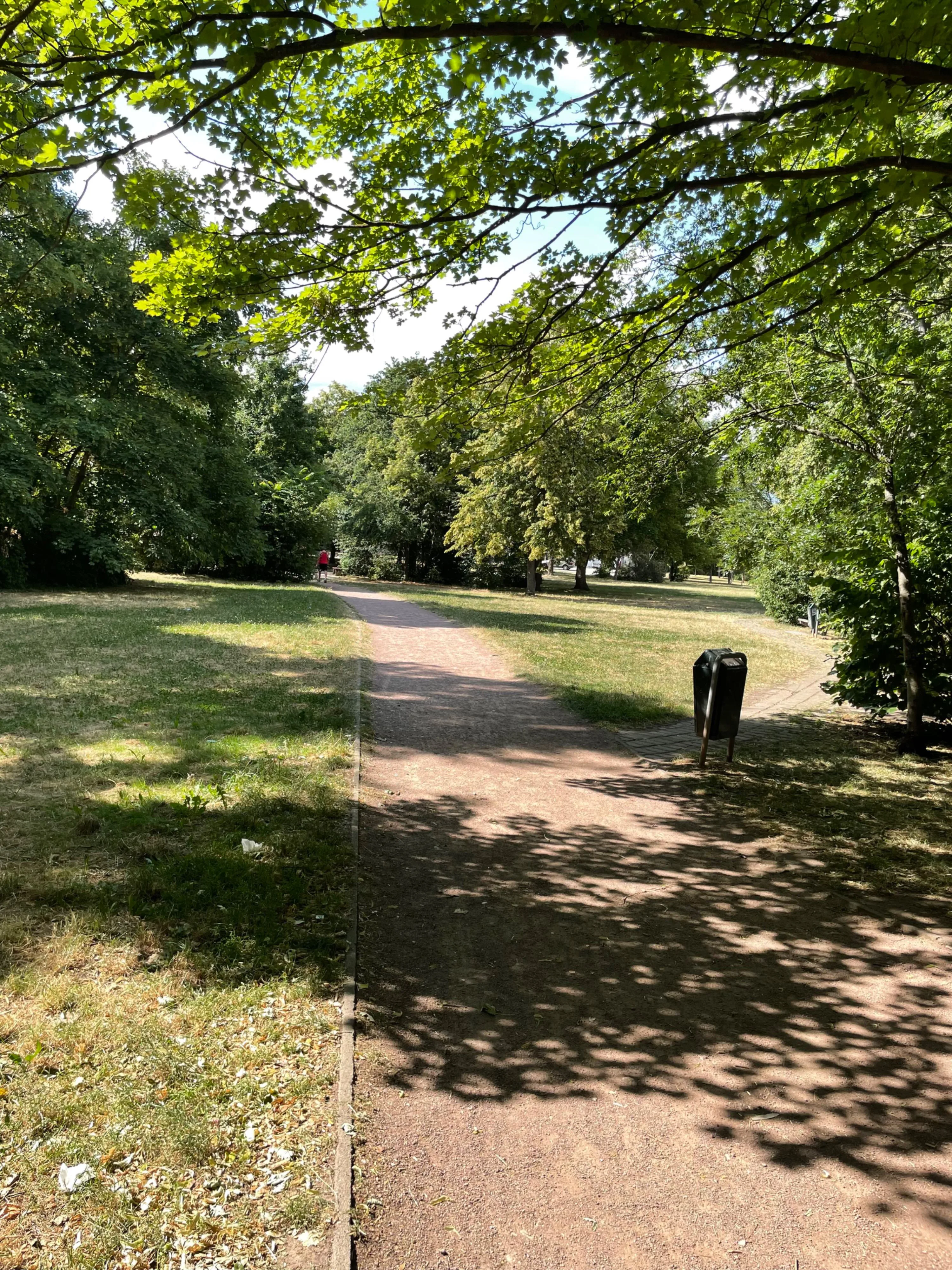 Park zwischen den Y Gebäuden.