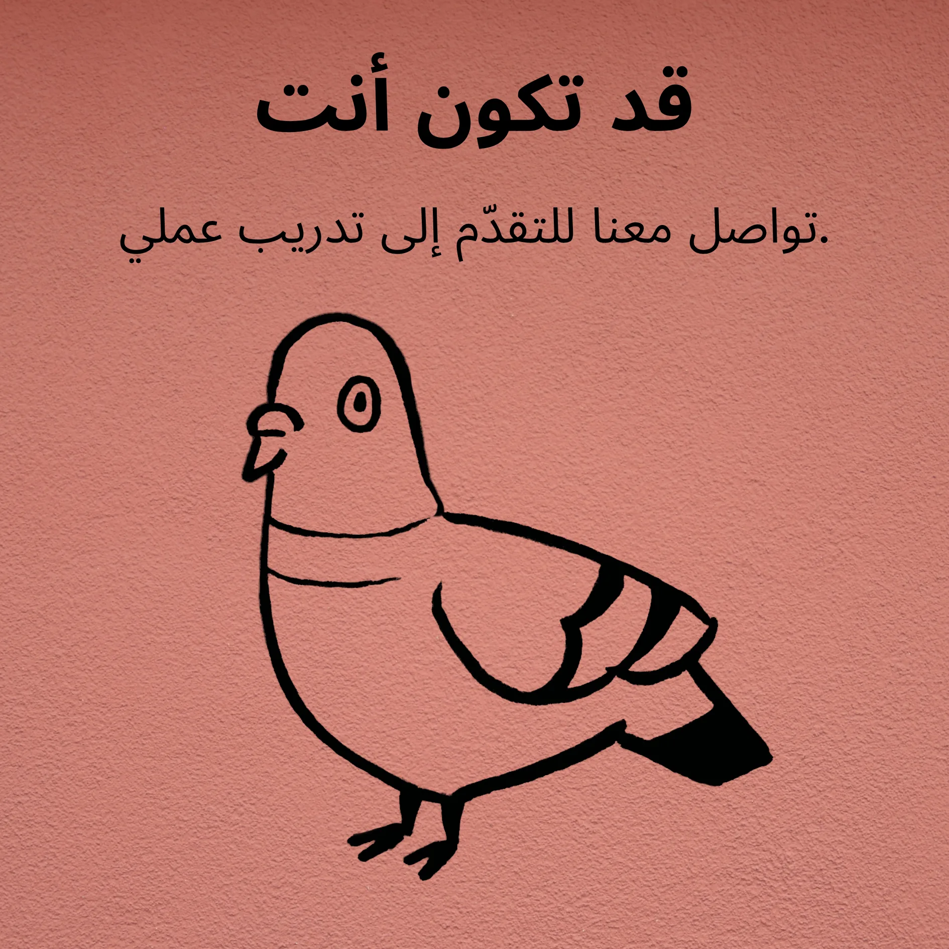 قد تكون أنت. تواصل معنا للتقدّم إلى تدريب عملي.