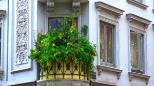 Kleiner Balkon, große Wirkung. Mitmach-Pflanzaktion